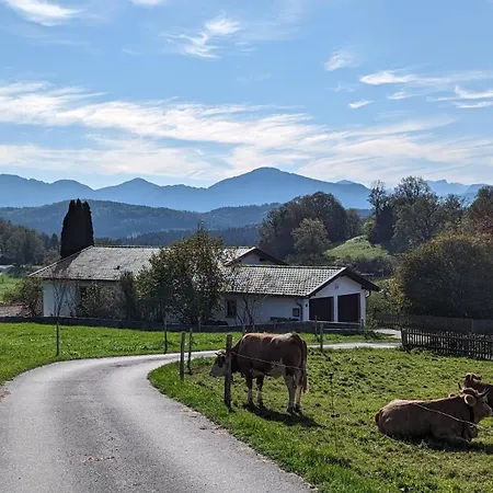 Appartement ღliboria I Aidling Panorama Stilvolles Mit Bergblick *