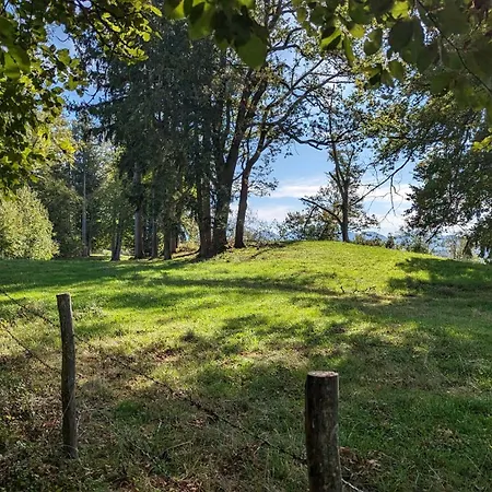 ღliboria I Aidling Panorama Stilvolles Mit Bergblick Appartement *